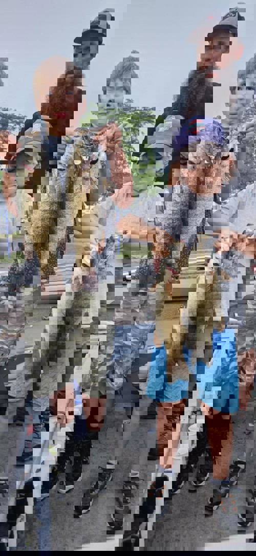 f6068846-861f-42dd-a875-6b6bcc9001e2